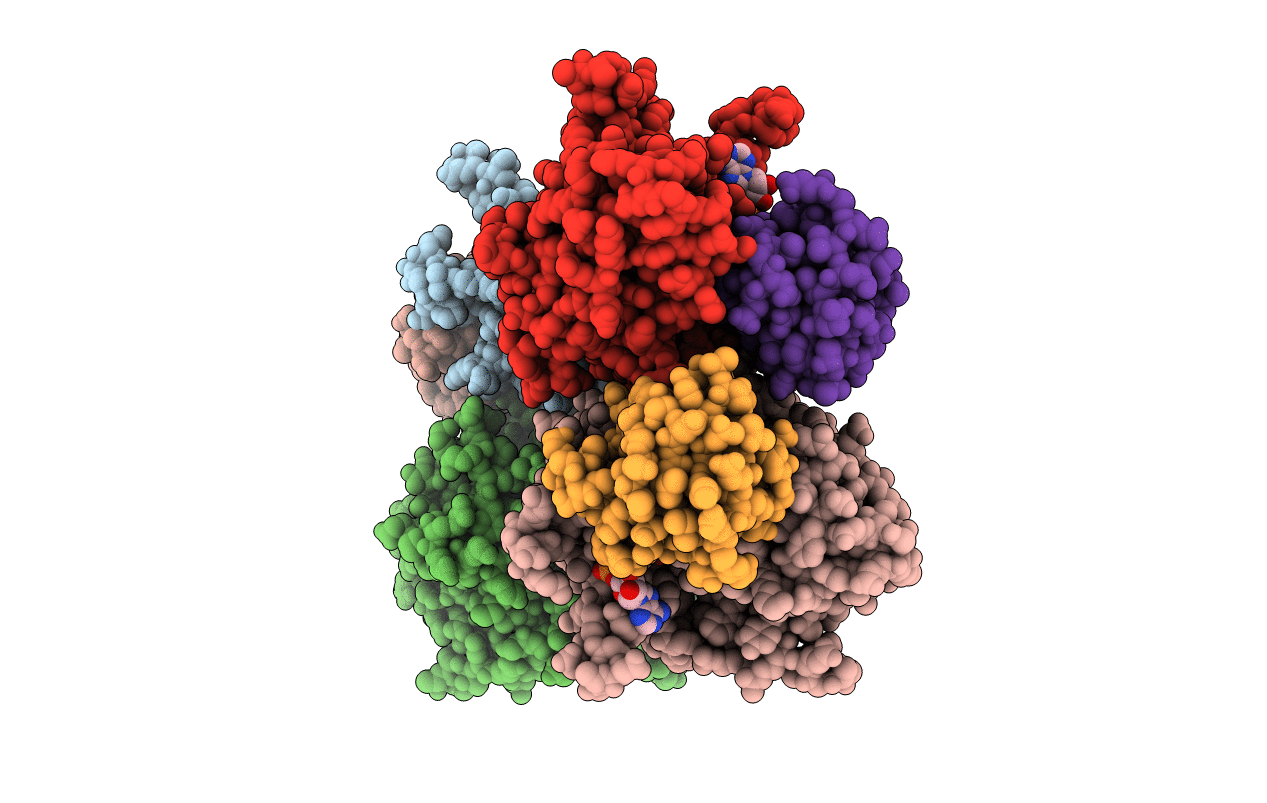3W5U image