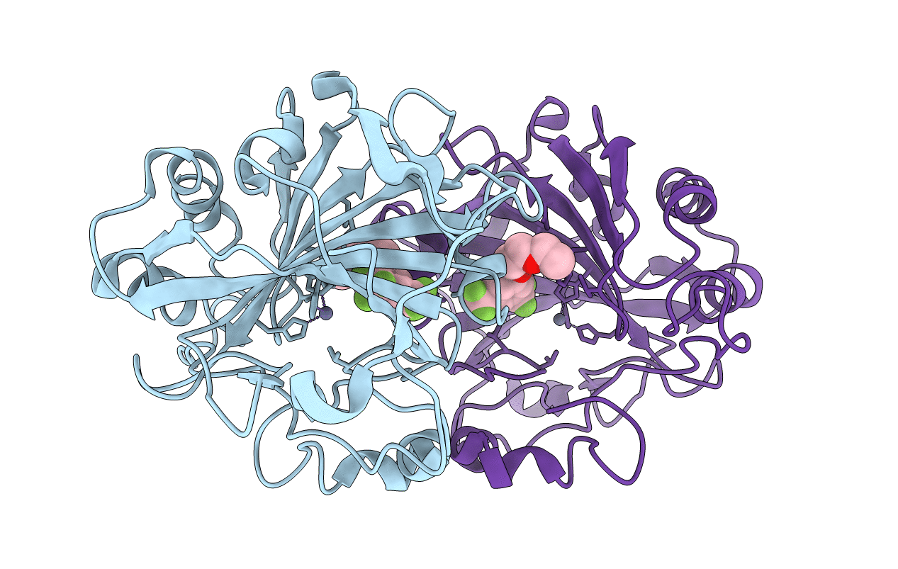 3W6I image