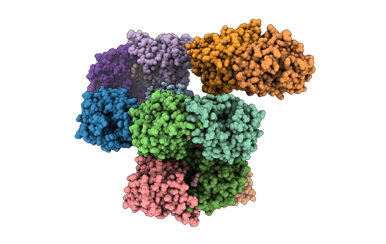 3W6X image