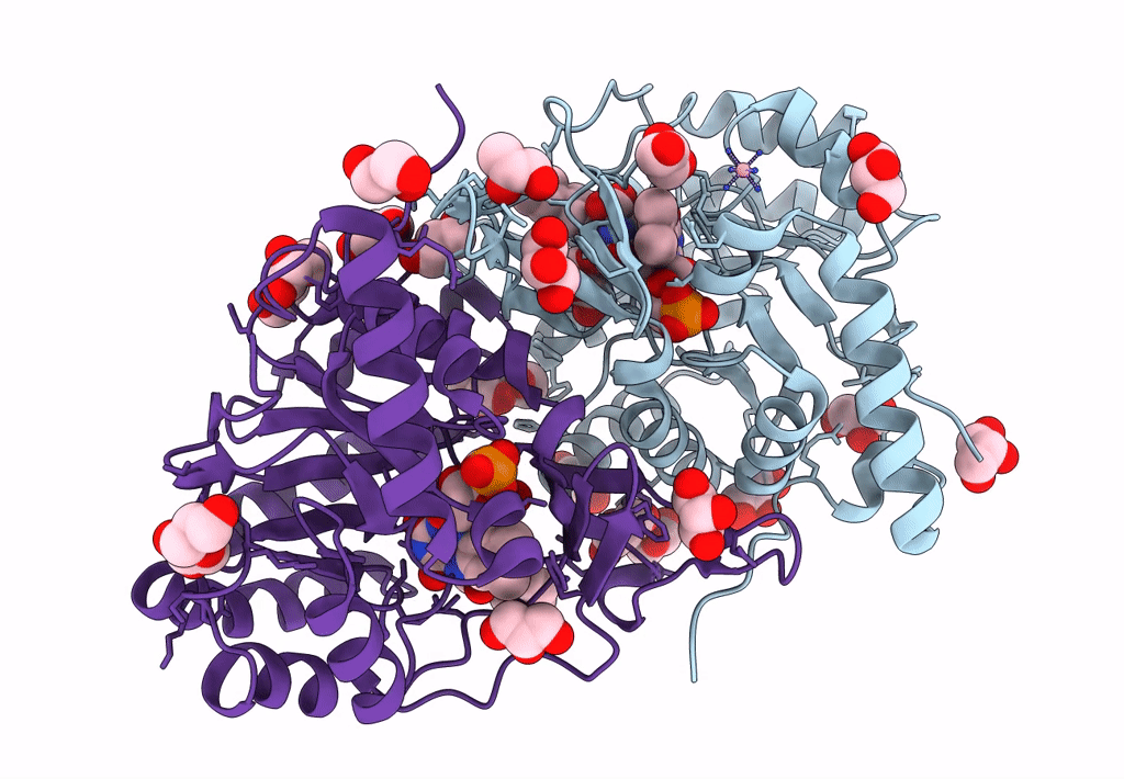 3W71 image