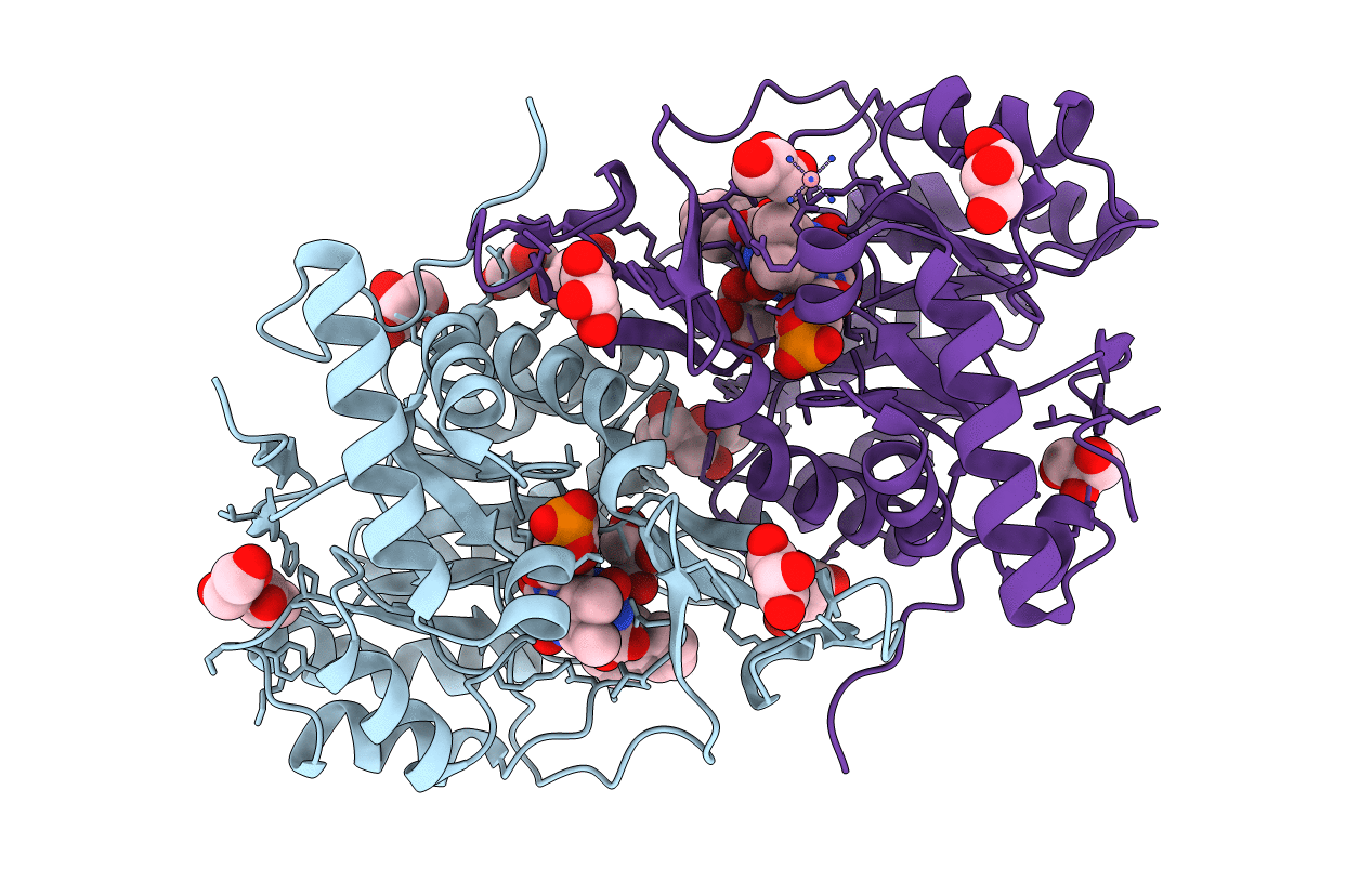 3W73 image