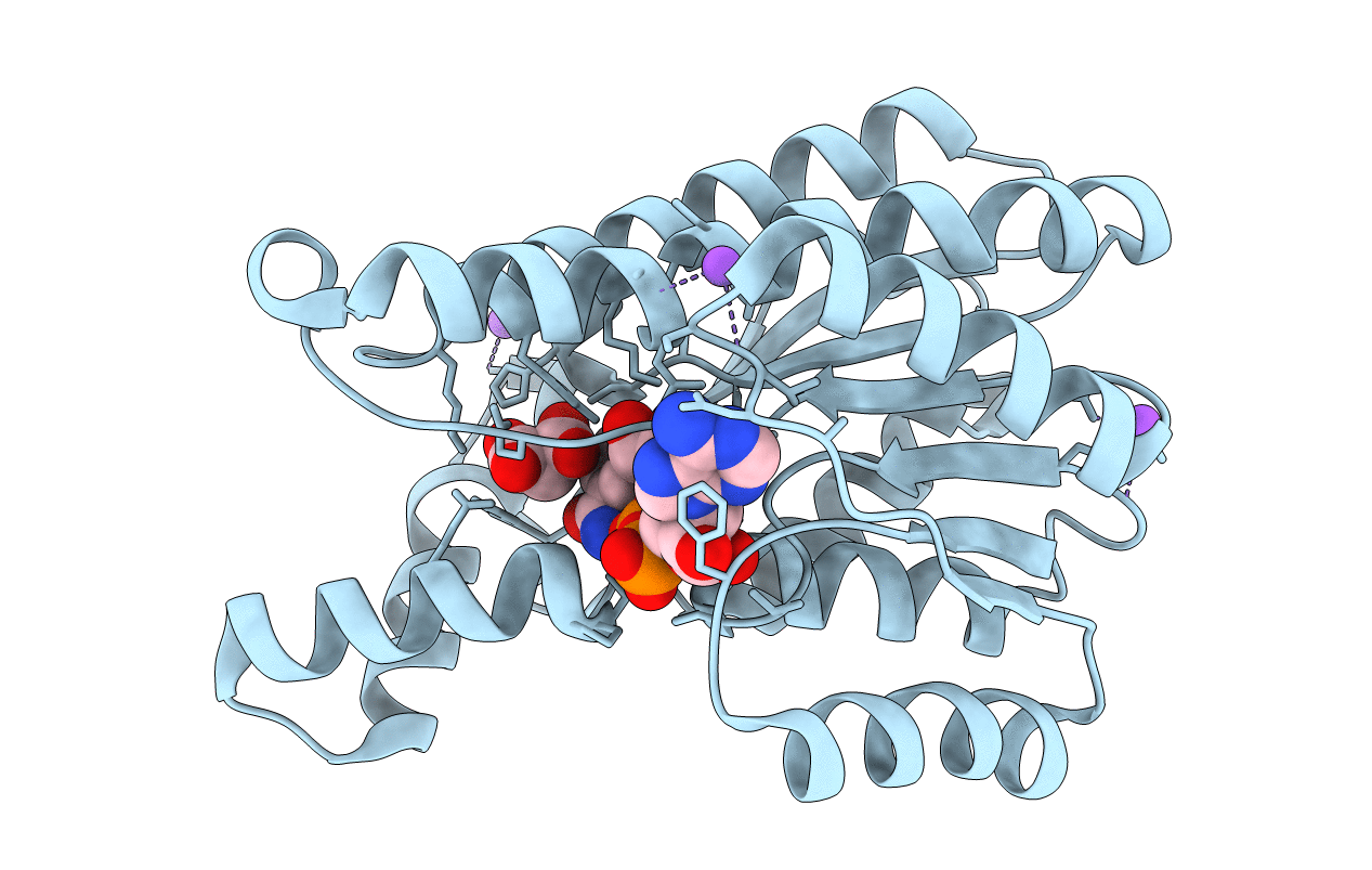3W8D image