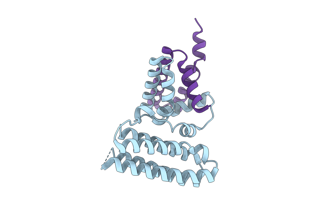 3W8I image