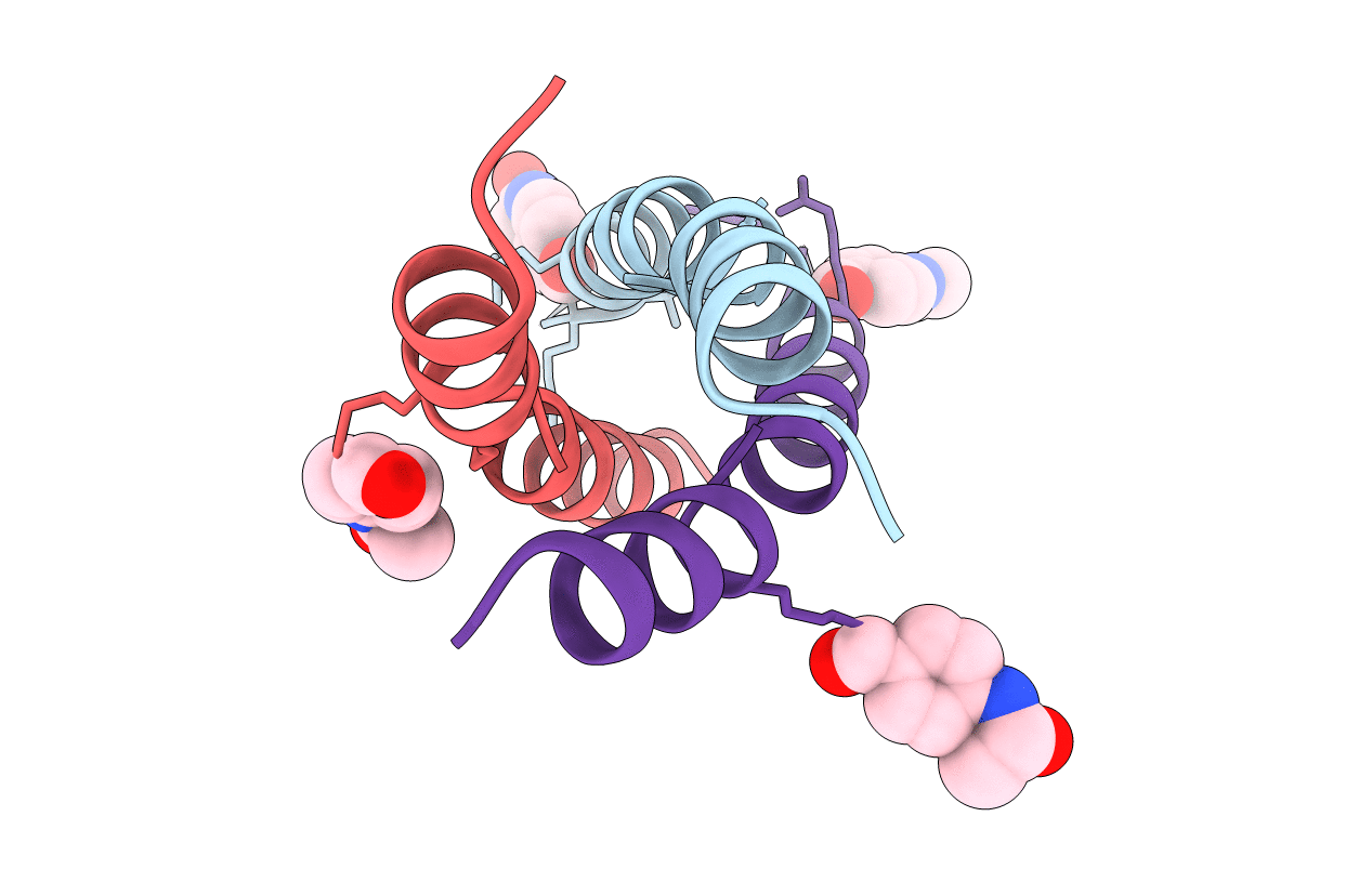 3W93 image
