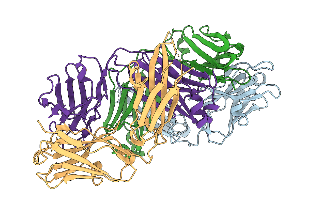 3W9D image