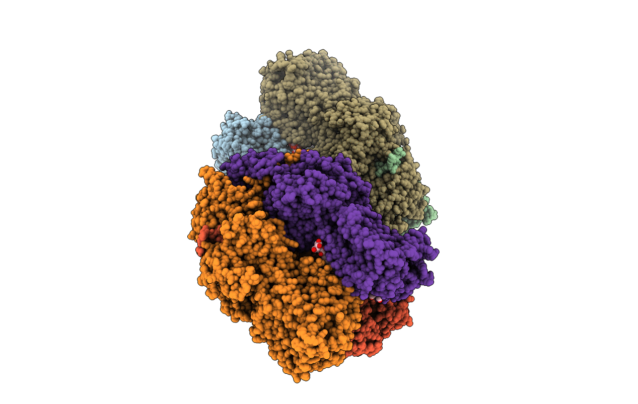 3W9I image
