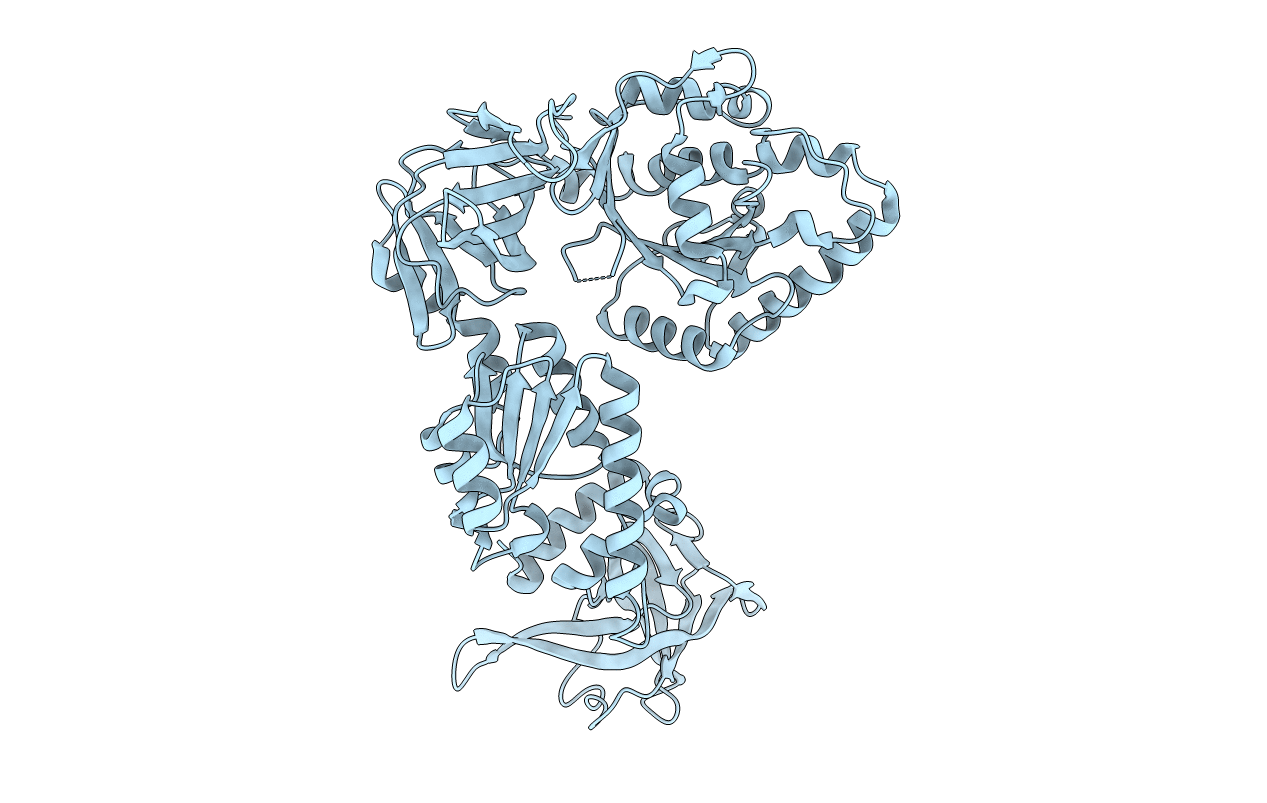 3WBI image
