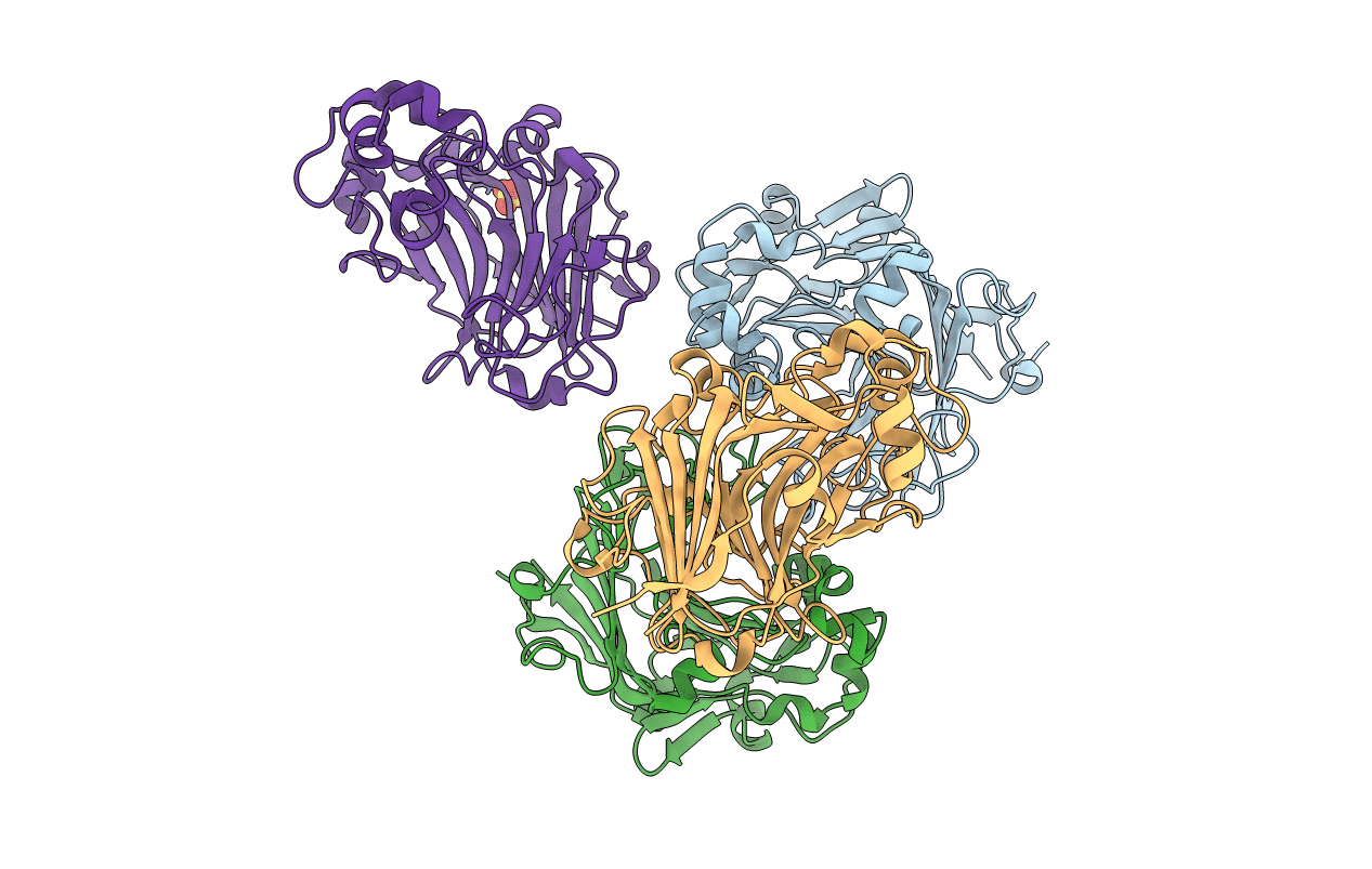 3WDT image