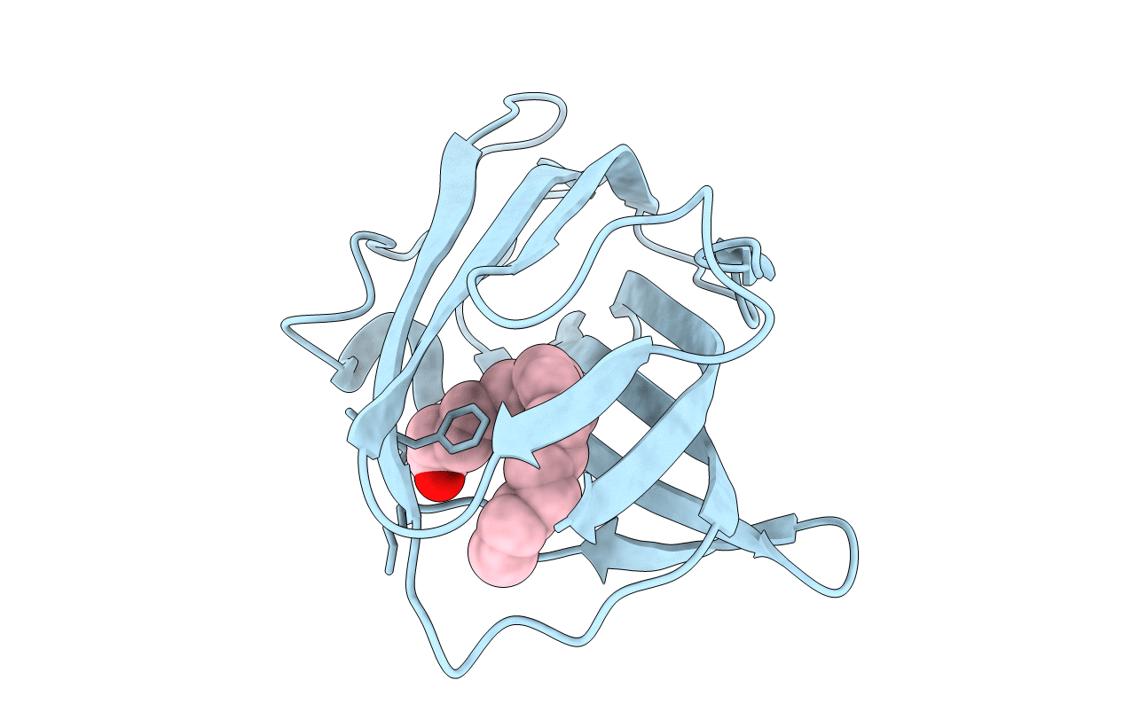 3WEB image