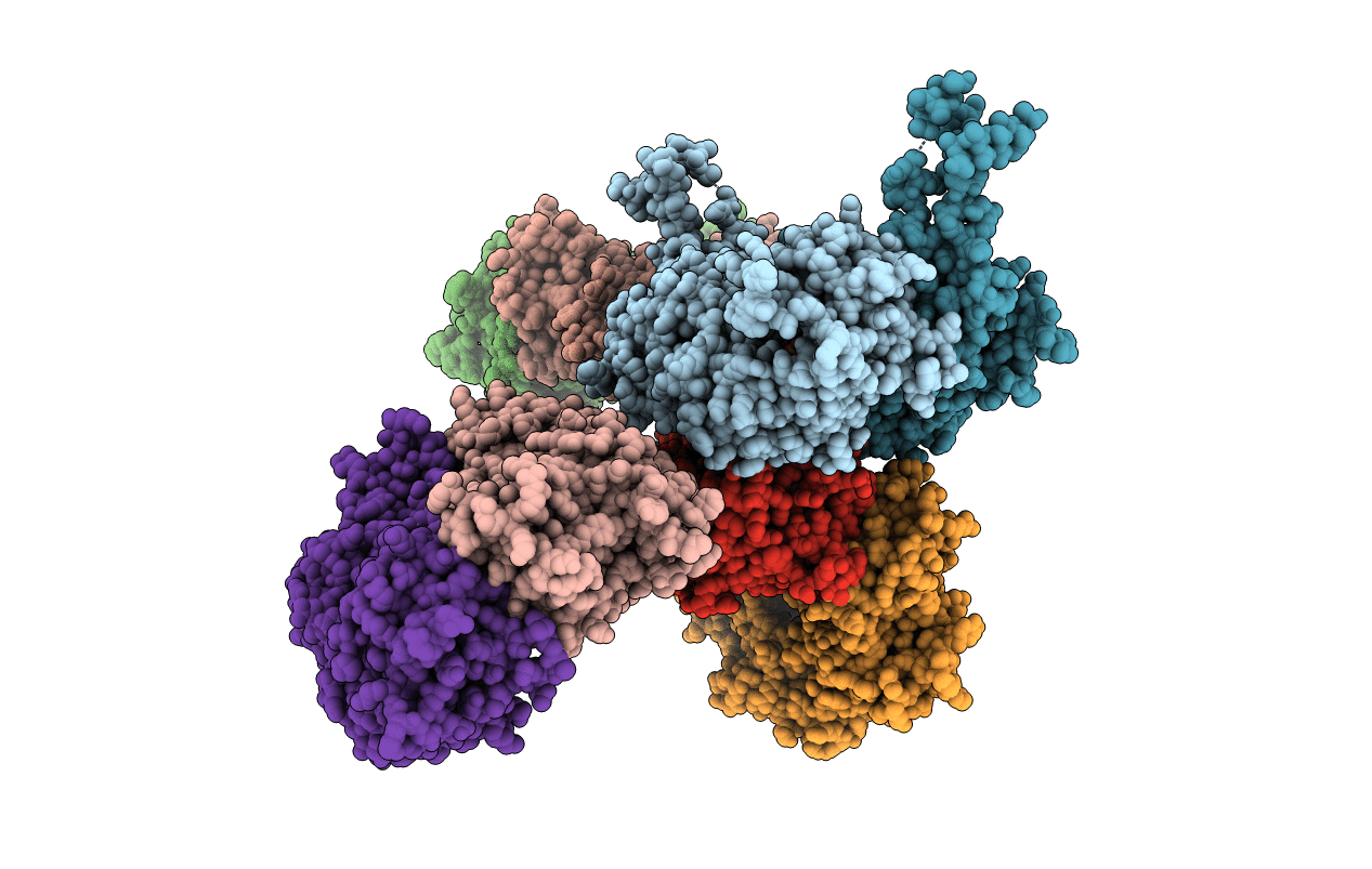 3WFP image
