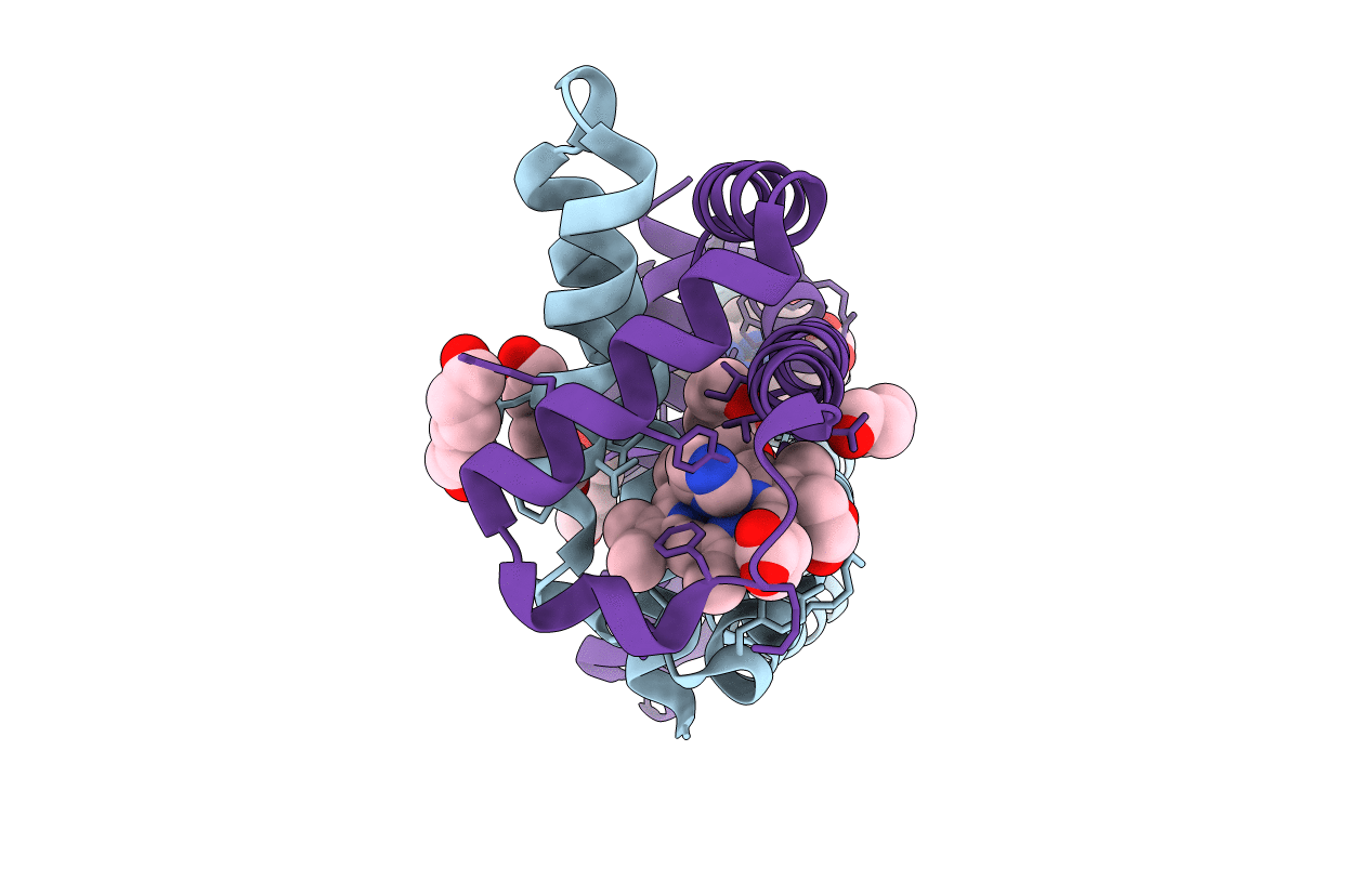 3WFX image