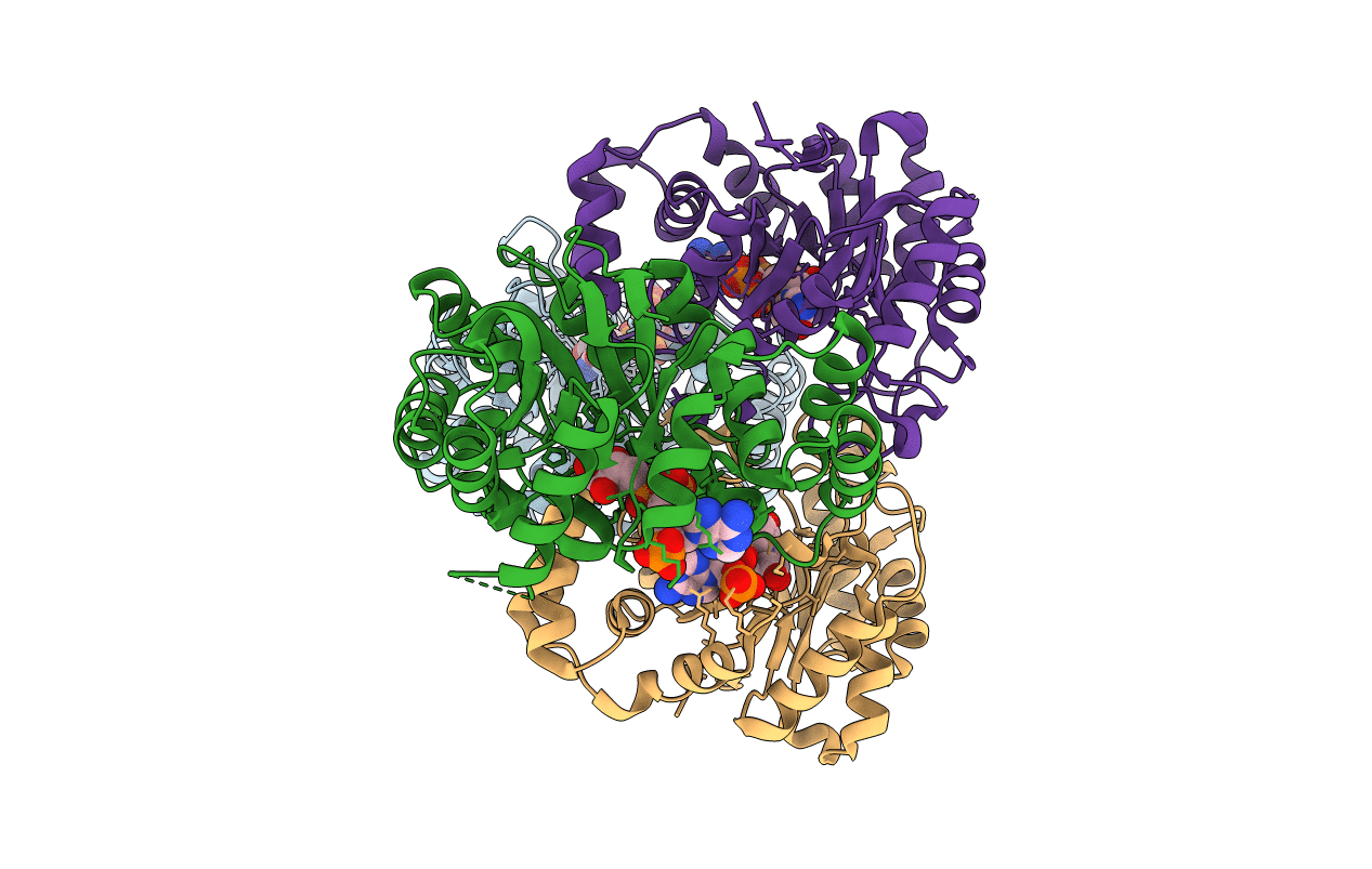 3WG6 image