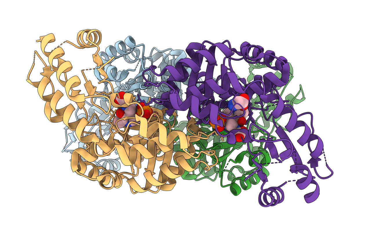 3WGB image