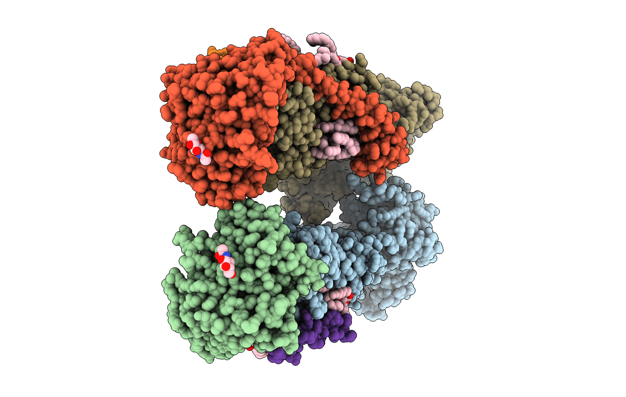 3WGU image