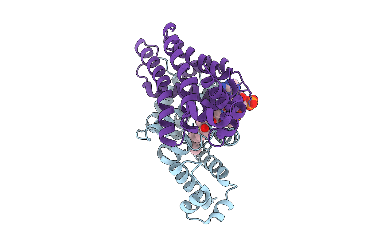 3WHB image