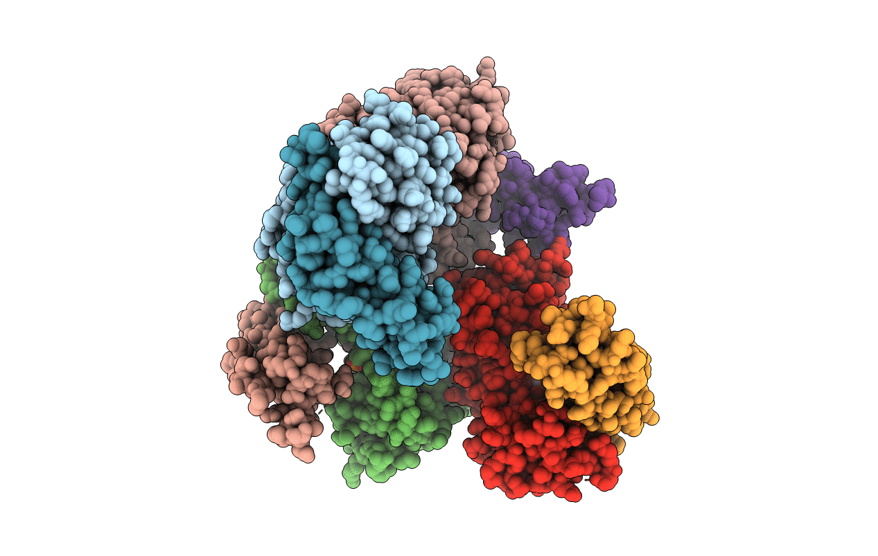 3WHL image