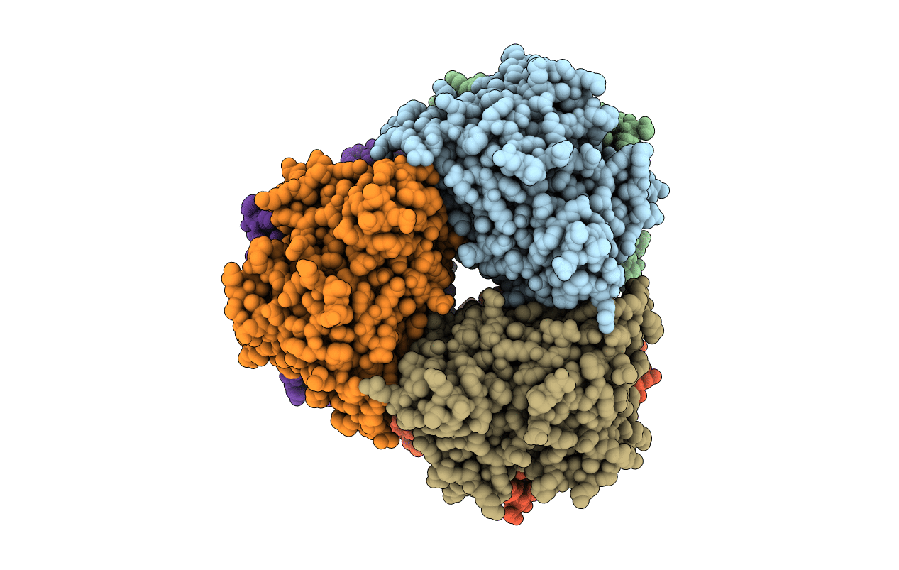 3WJ8 image