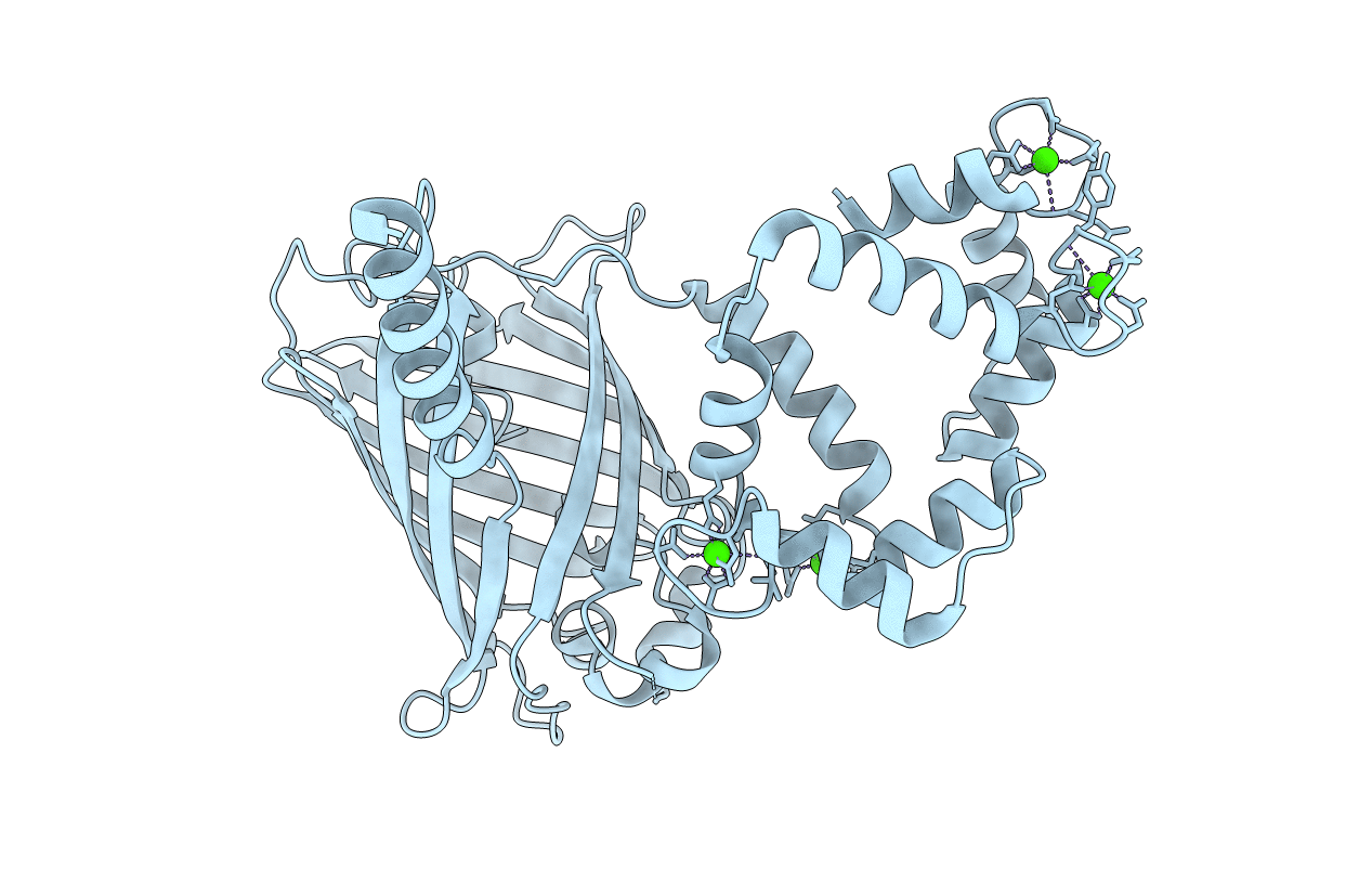 3WLC image