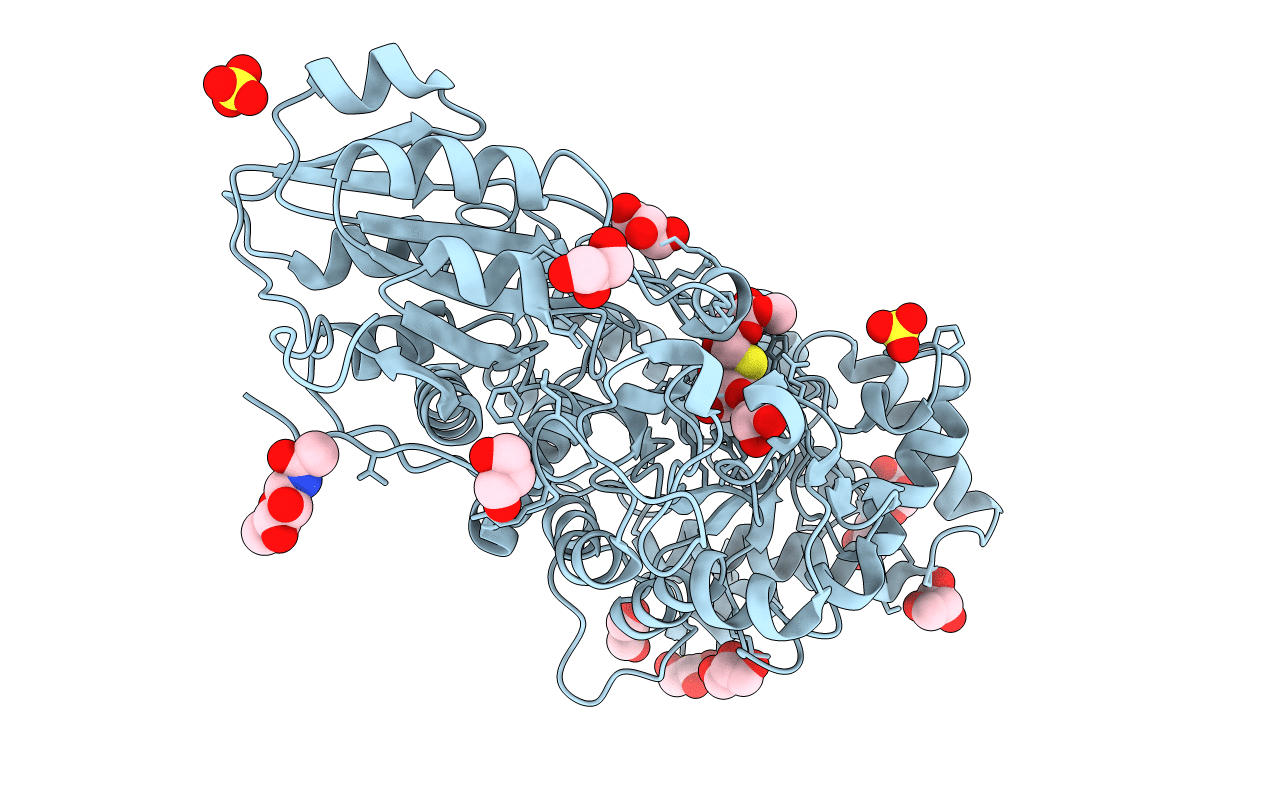 3WLP image