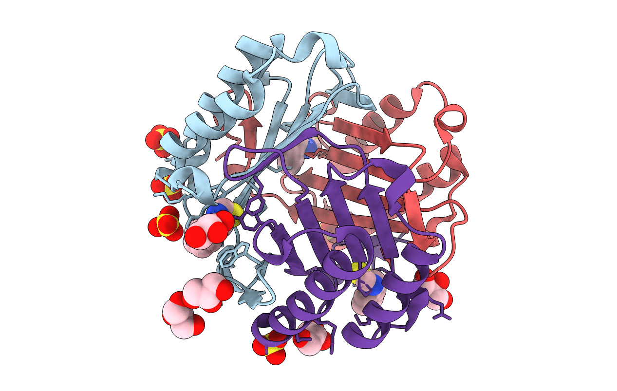 3WNR image