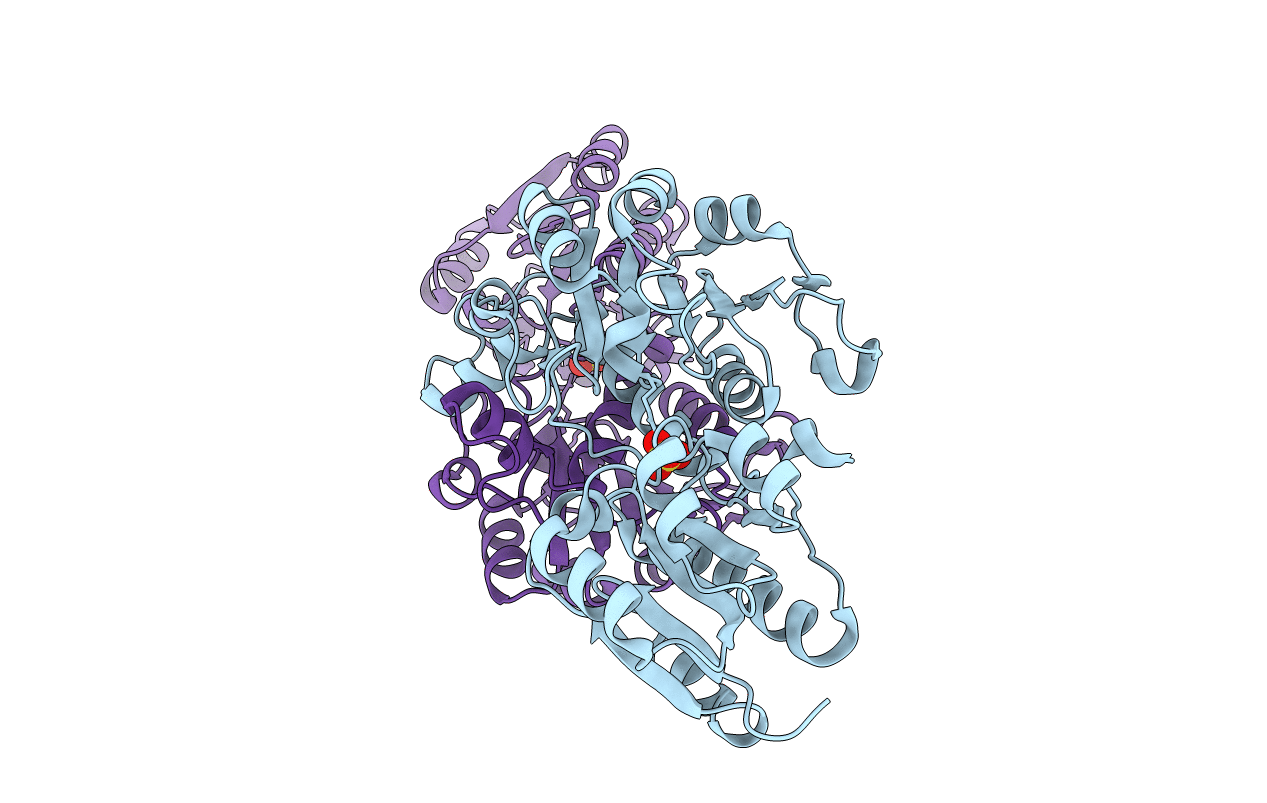 3WNV image