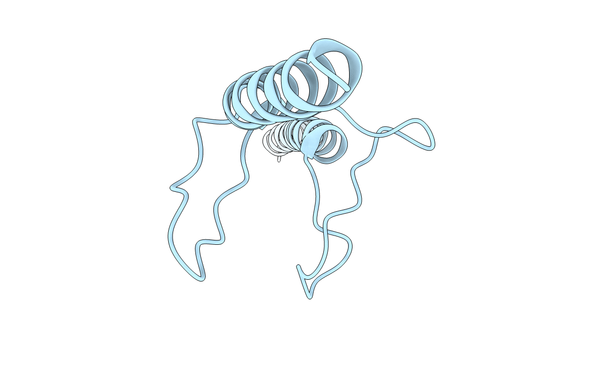 3WPP image