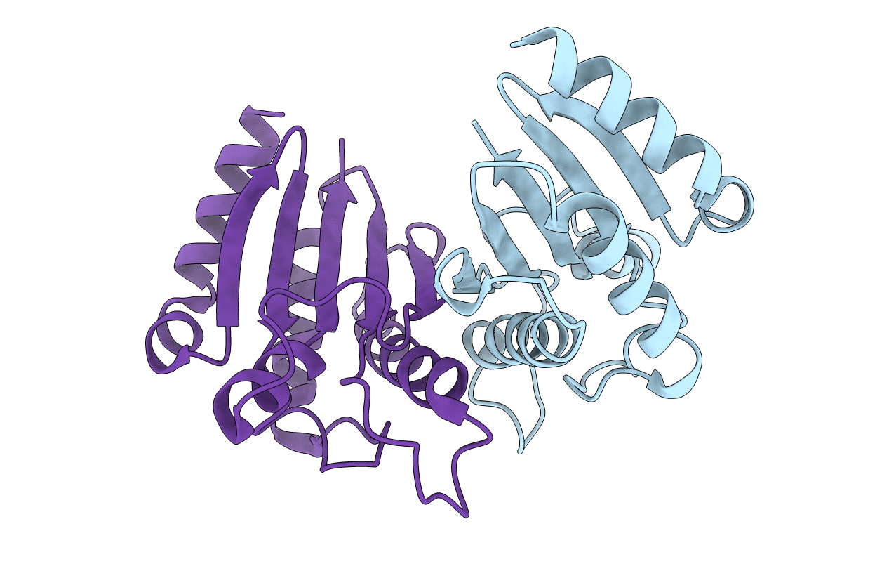 3WPX image