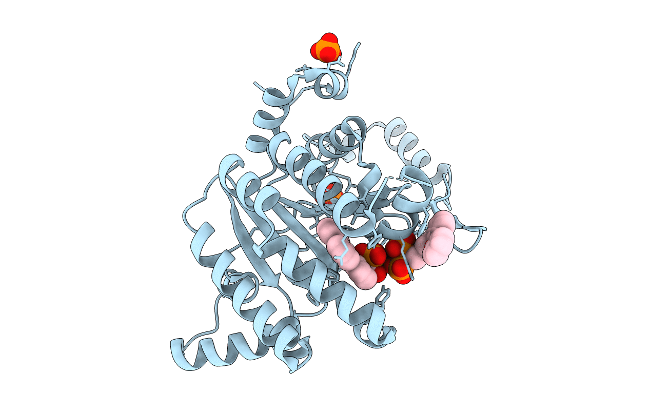 3WQM image