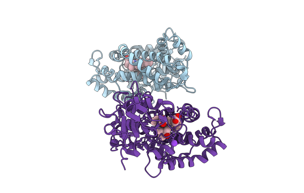 3WRH image