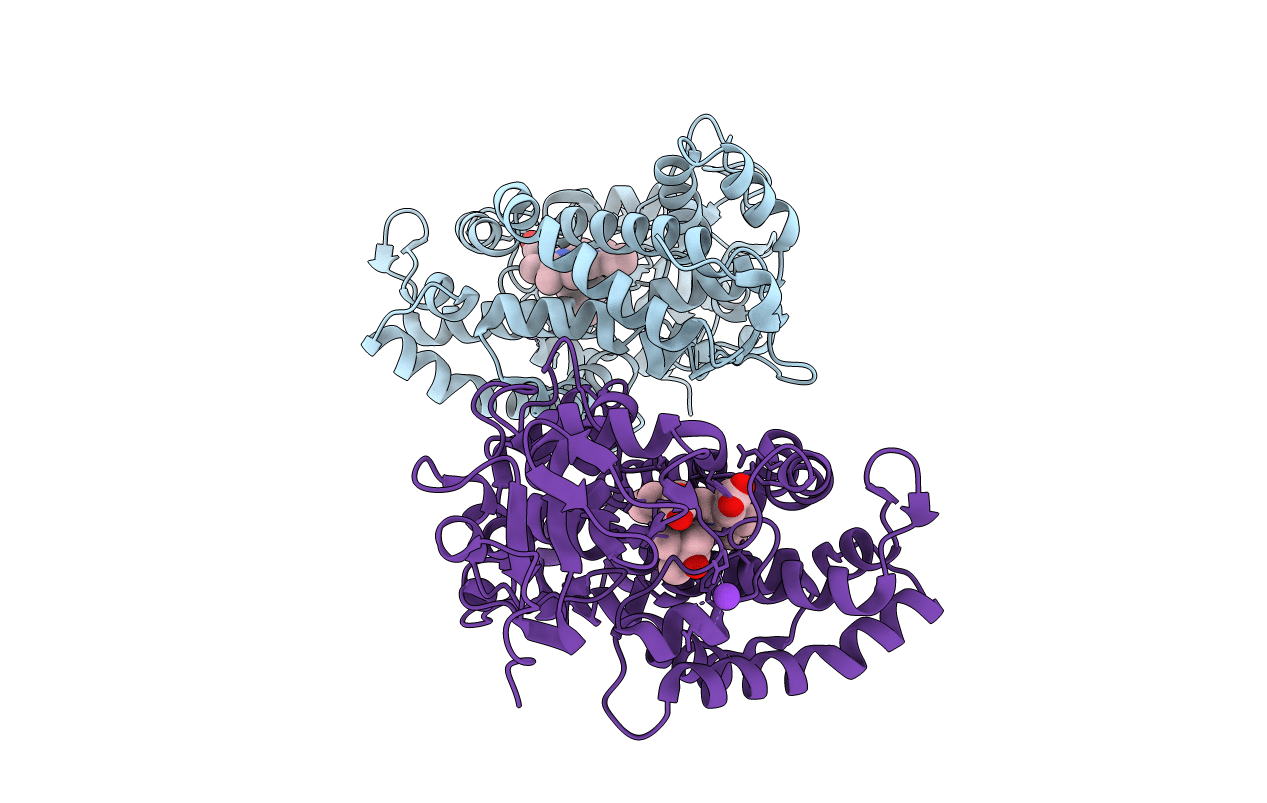 3WRM image