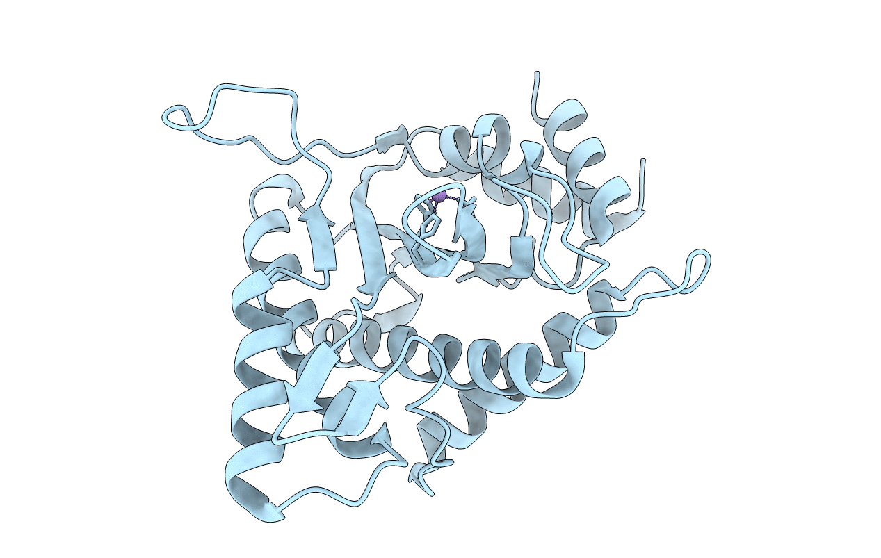 3WRO image