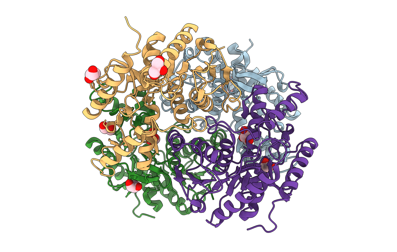 3WSV image