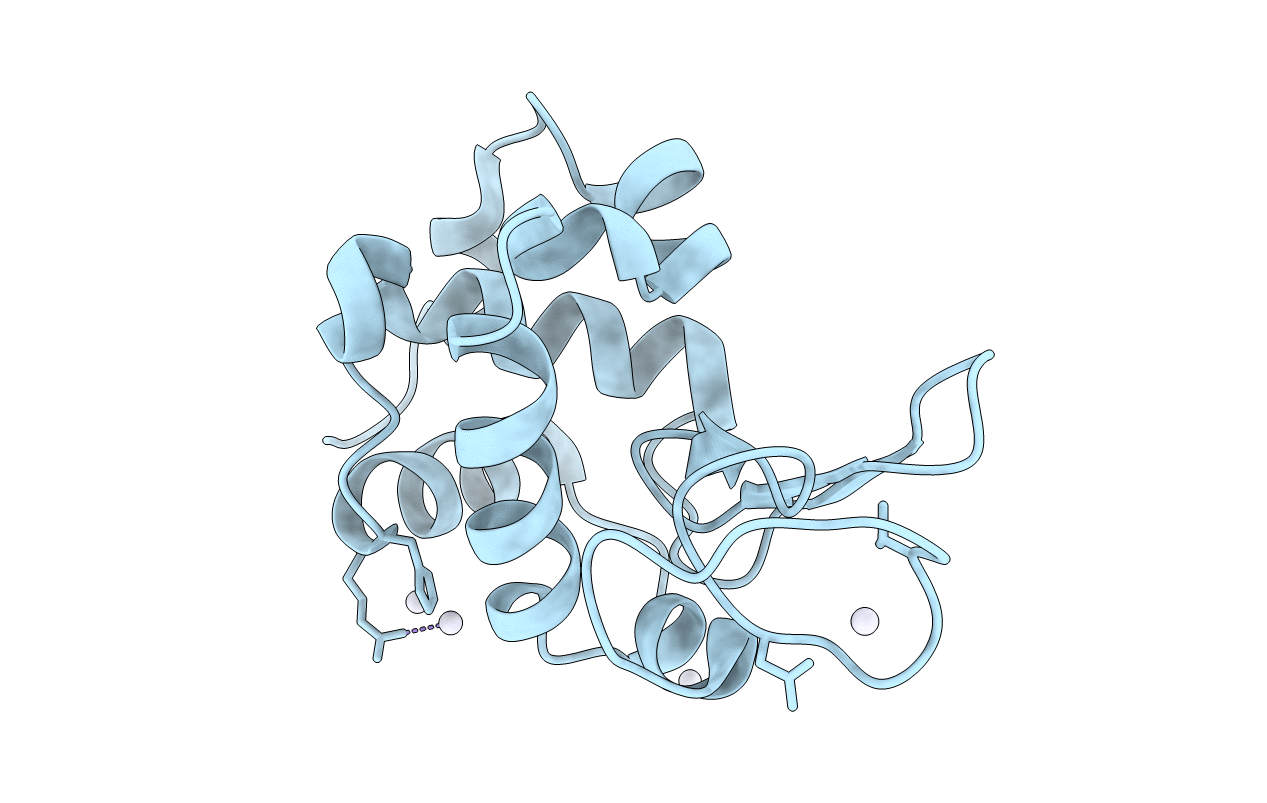 3wu8 image