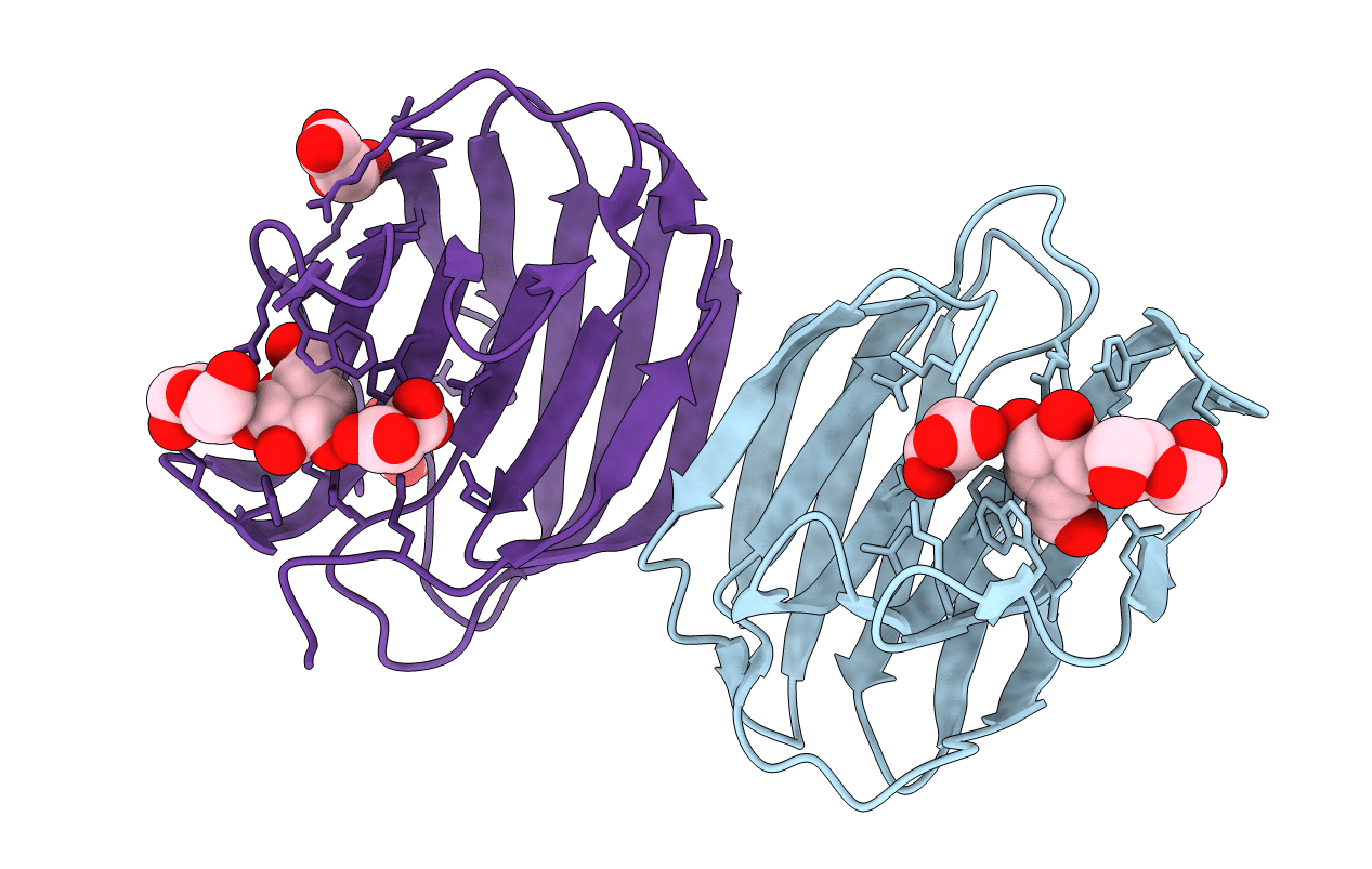 3WUC image