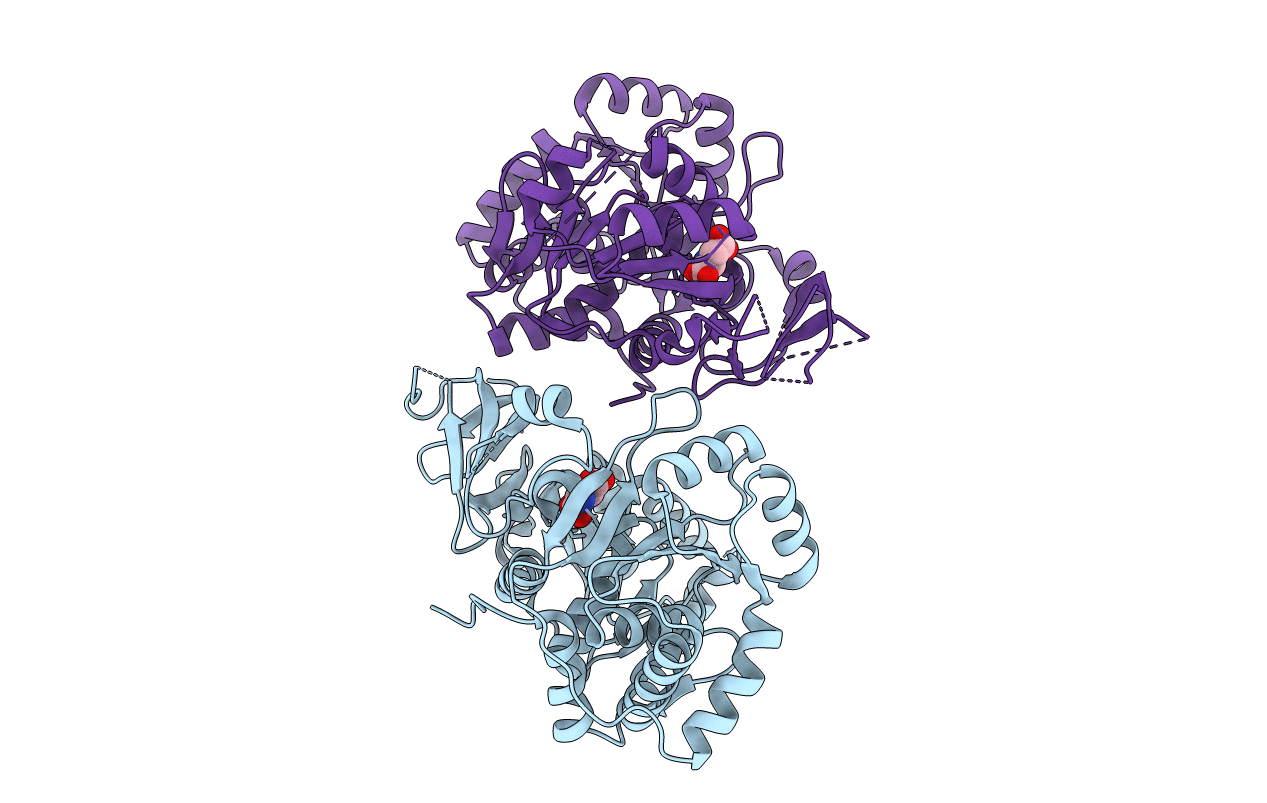 3WVN image
