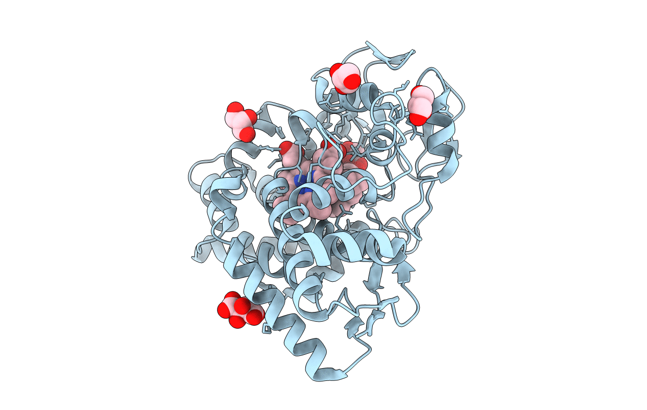 3WVS image