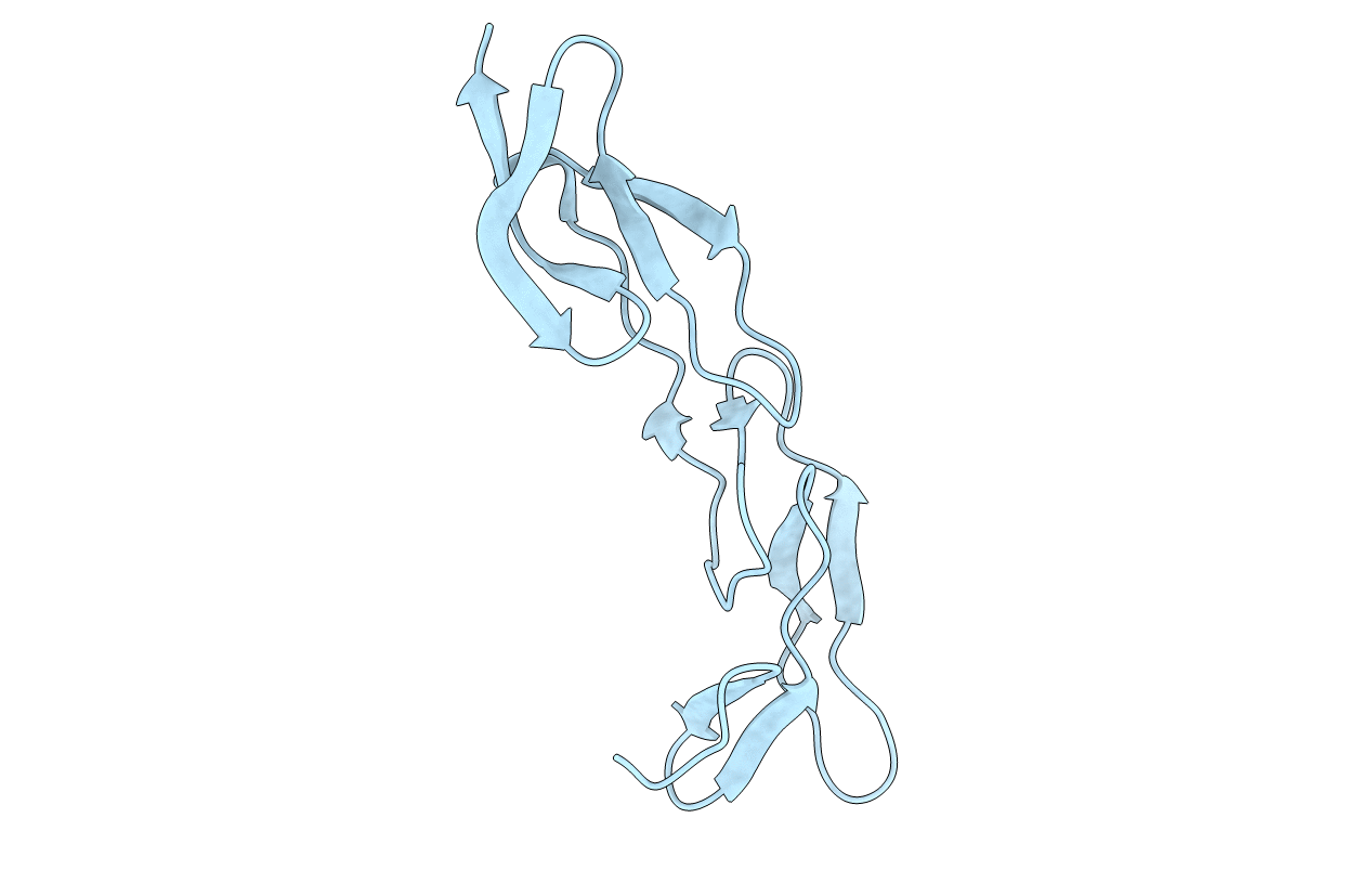 3WVT image