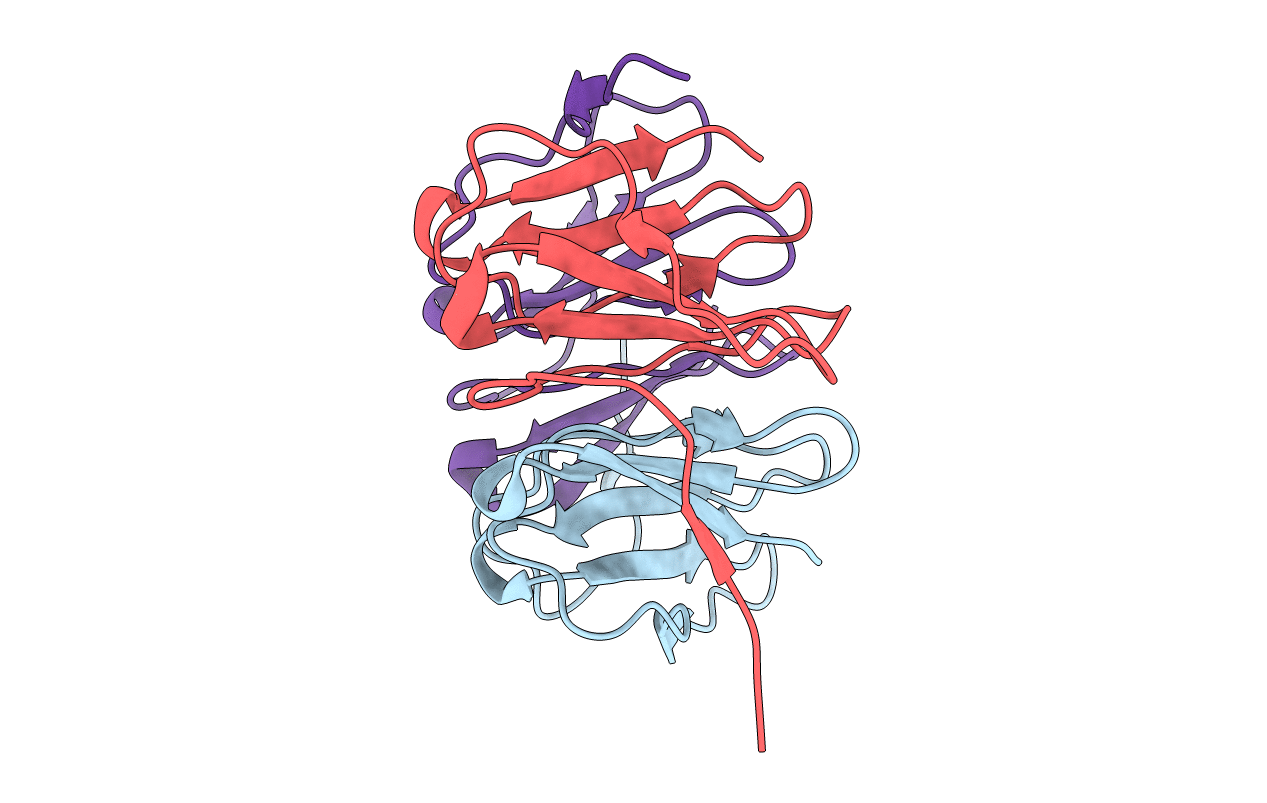 3WWB image