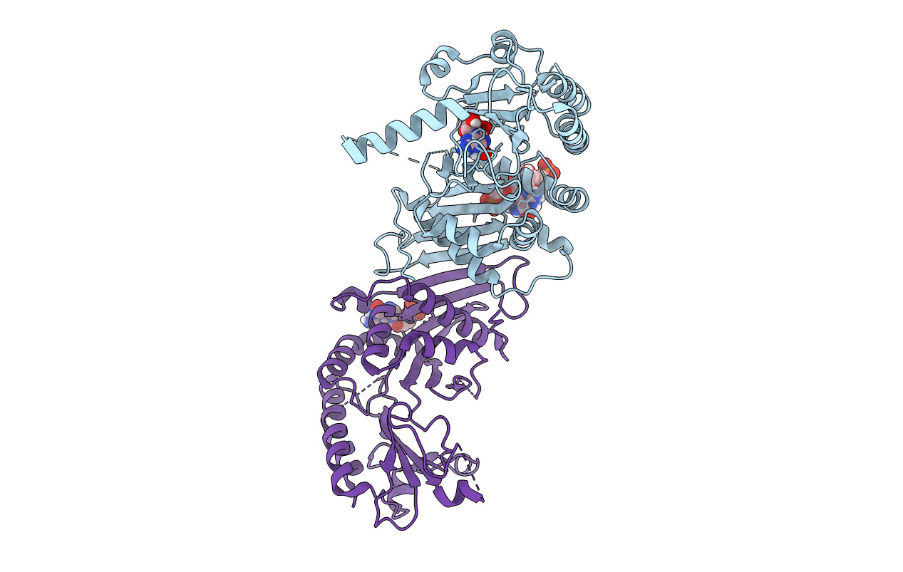 3X0C image