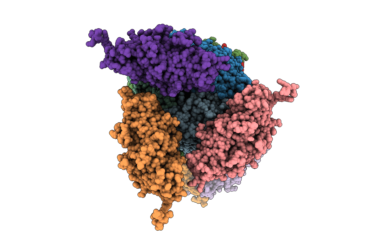3ZDS image