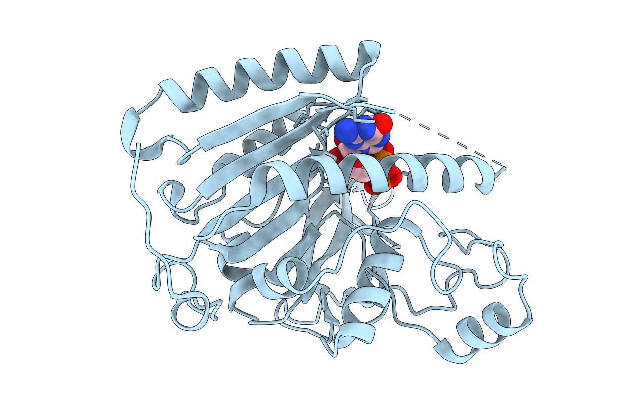 3ZF8 image