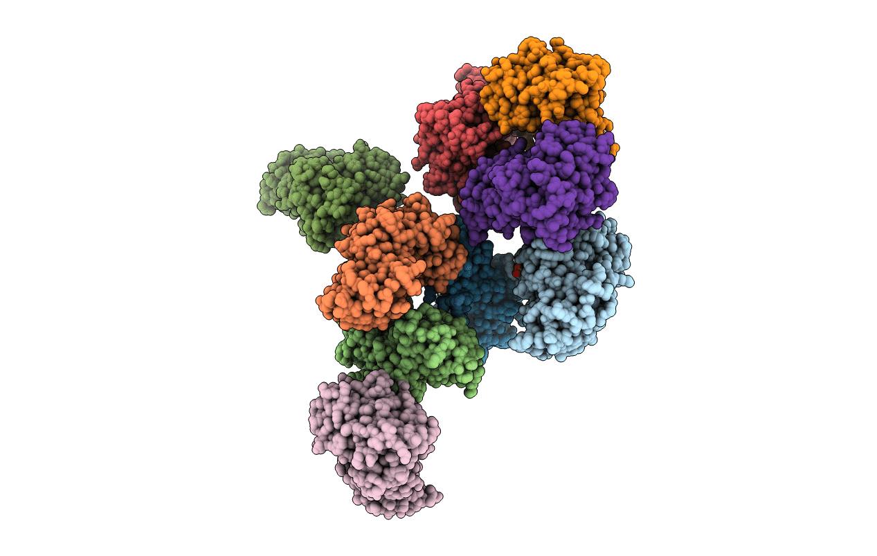 3ZFX image
