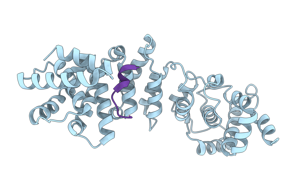 3ZIL image