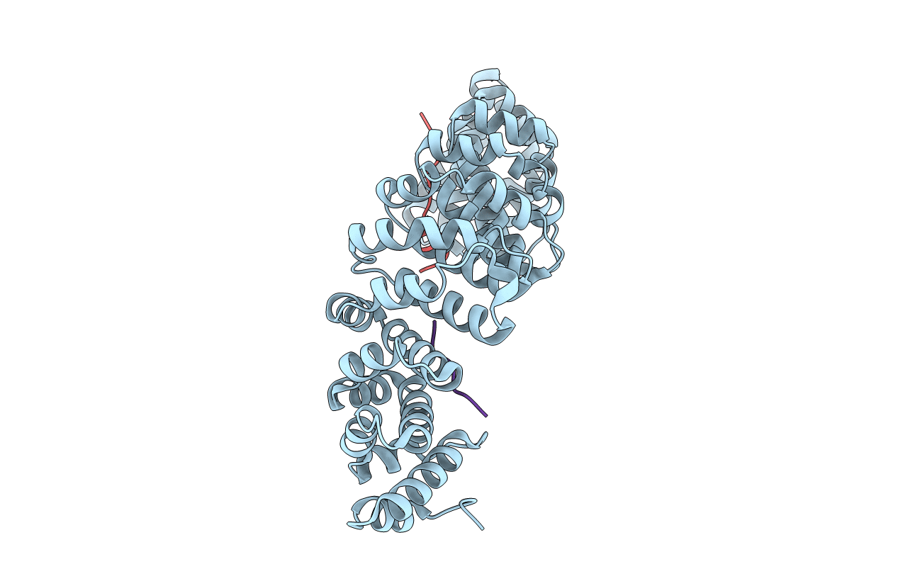 3ZIN image