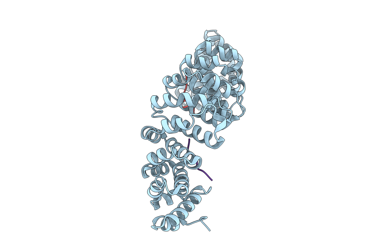 3ZIP image
