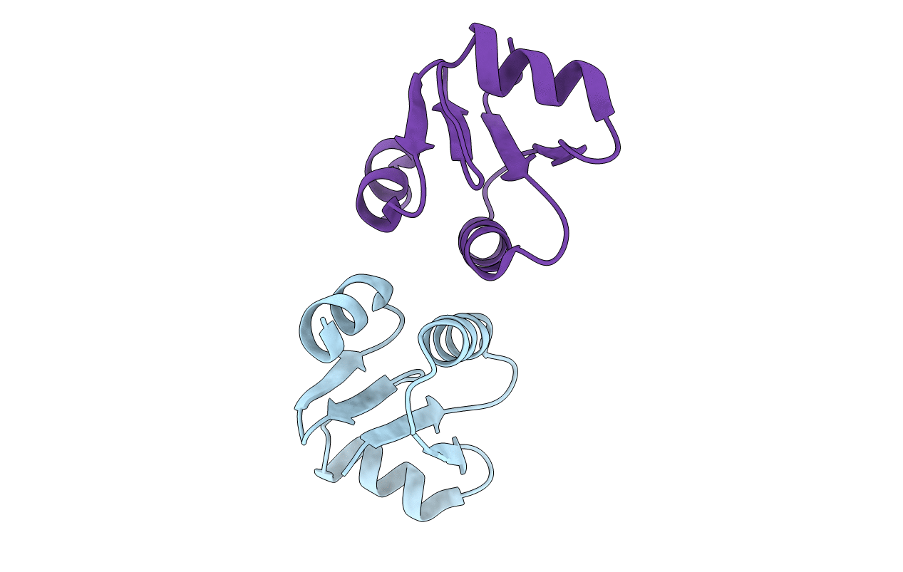 3ZIT image