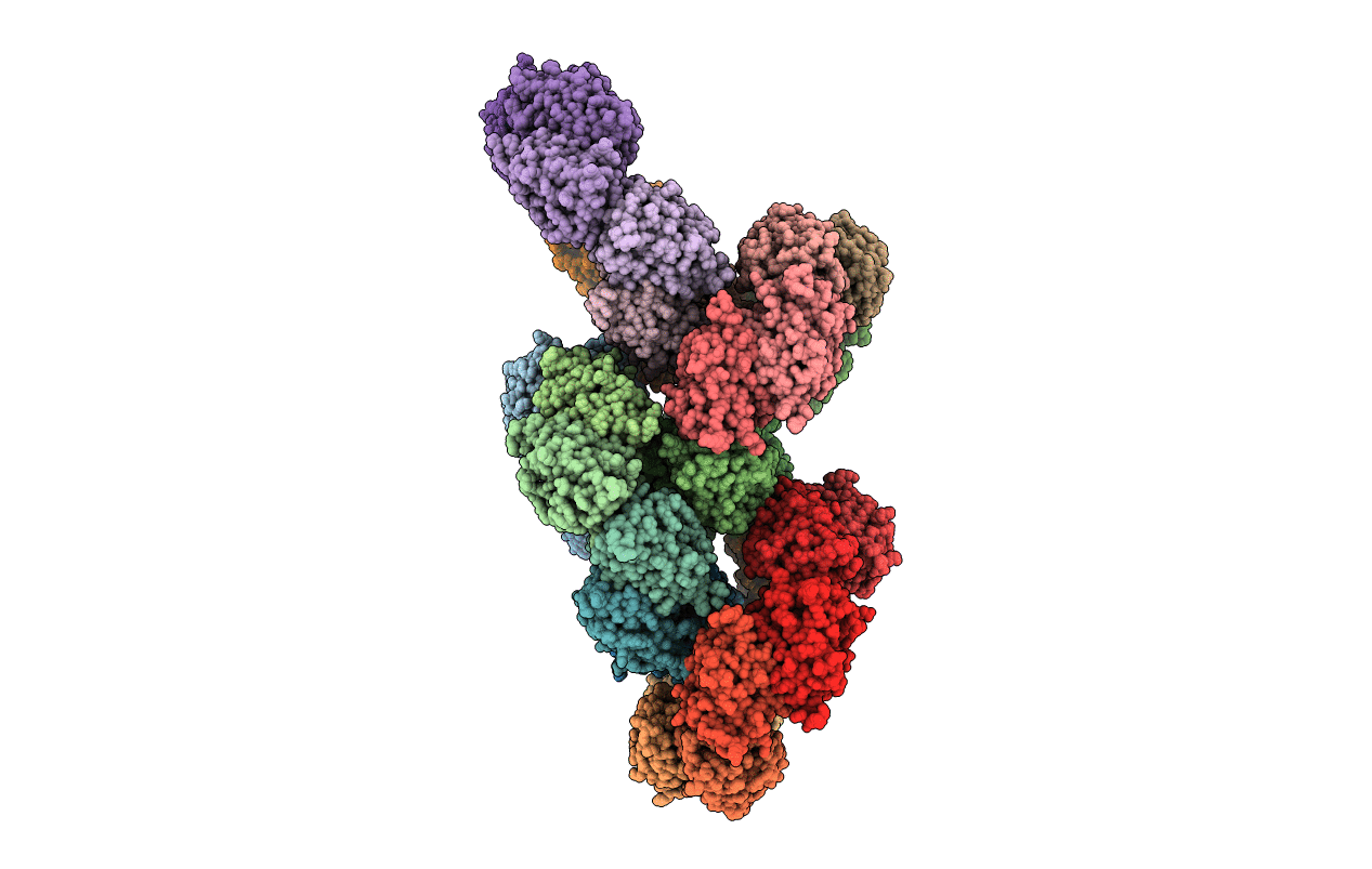 3ZLP image