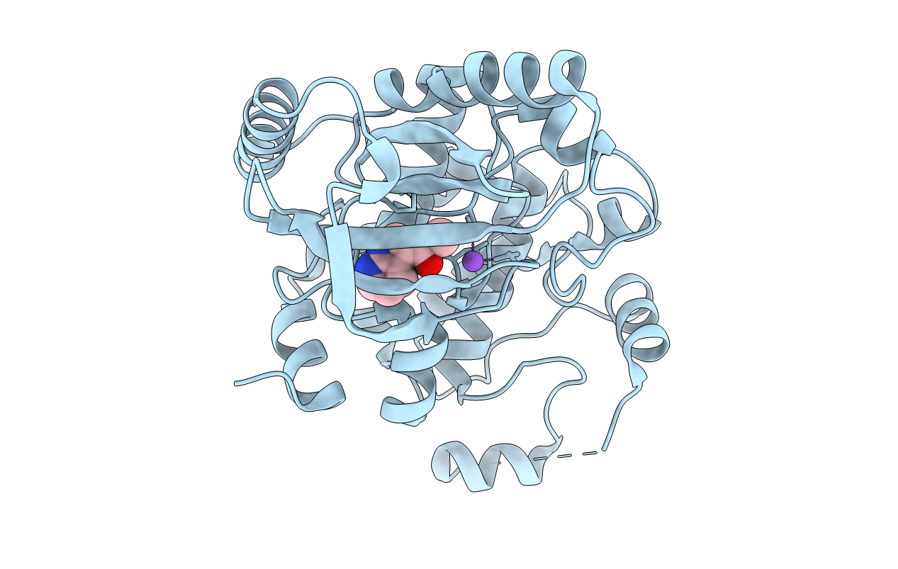 3ZLS image
