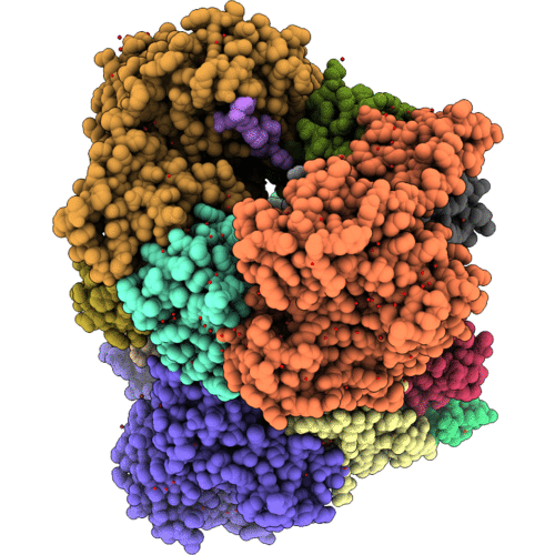 3ZNI image