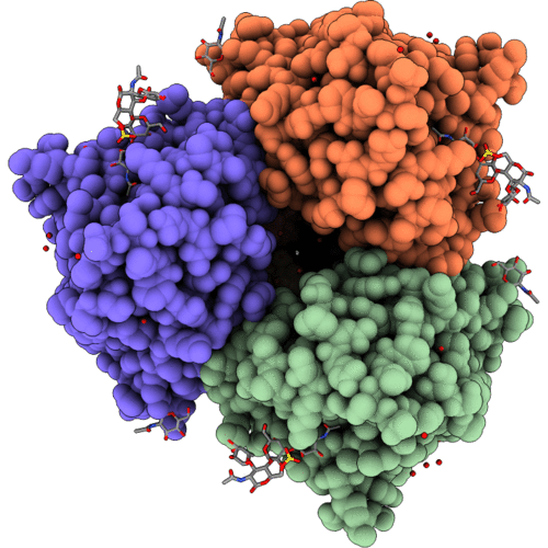 3ZNL image